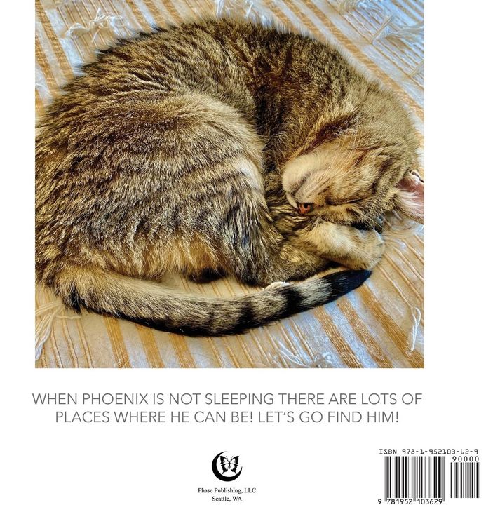 Produktbild: Where's Phoenix?