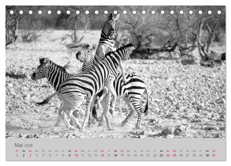 Produktbild: Die Seelen der wilden Tiere (Tischkalender 2026 DIN A5 quer), CALVENDO Monatskalender