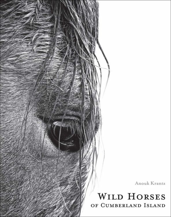 Produktbild: Wild Horses of Cumberland Island