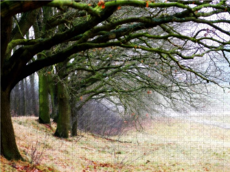 Produktbild: CALVENDO Puzzle Weyerberg / Worpswede 1000 Teile Lege-Gr&ouml;&szlig;e 64 x 48 cm Foto-Puzzle Bild von Ulrike Adam