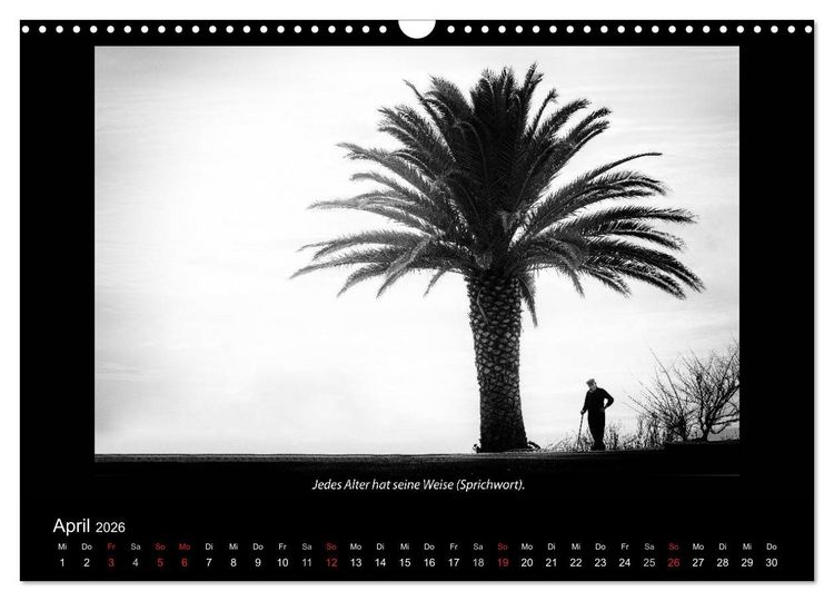 Produktbild: Schwarz-Weis(s)heiten (Wandkalender 2026 DIN A3 quer), CALVENDO Monatskalender