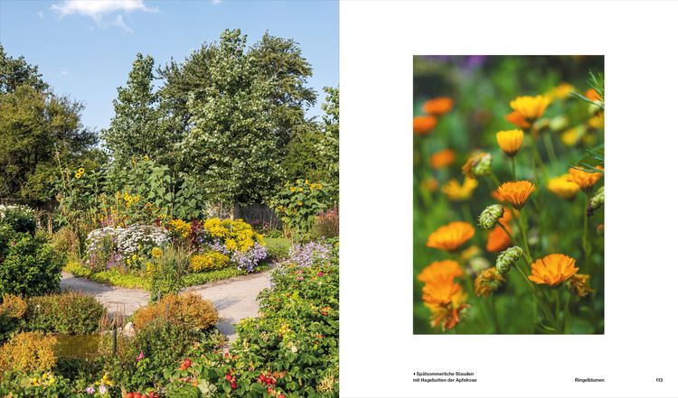 Produktbild: Der Garten von Ada und Emil Nolde