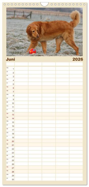 Produktbild: Familienplaner 2026 - Hovawarte - einmal anders mit 5 Spalten (Wandkalender, 21 x 45 cm) CALVENDO