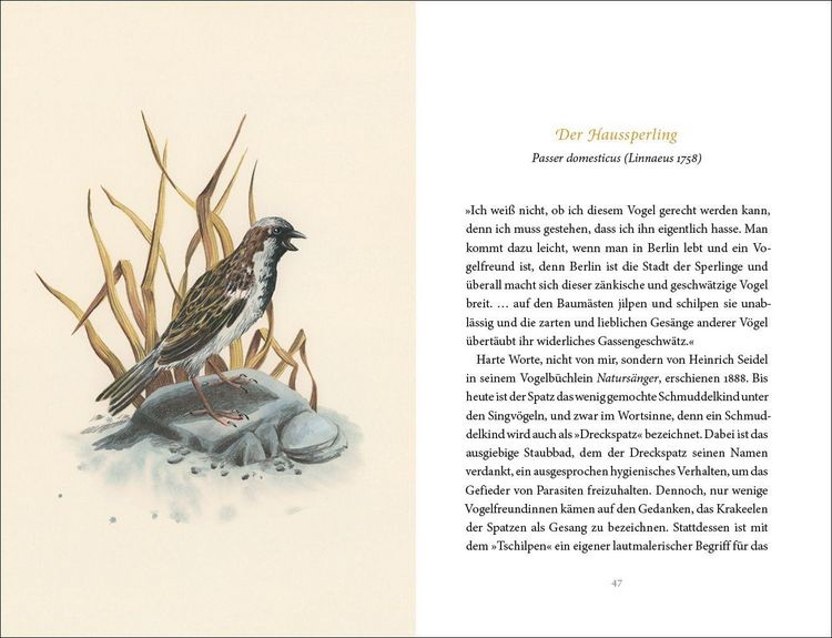 Produktbild: Vom Gl&uuml;ck des Vogelgesangs