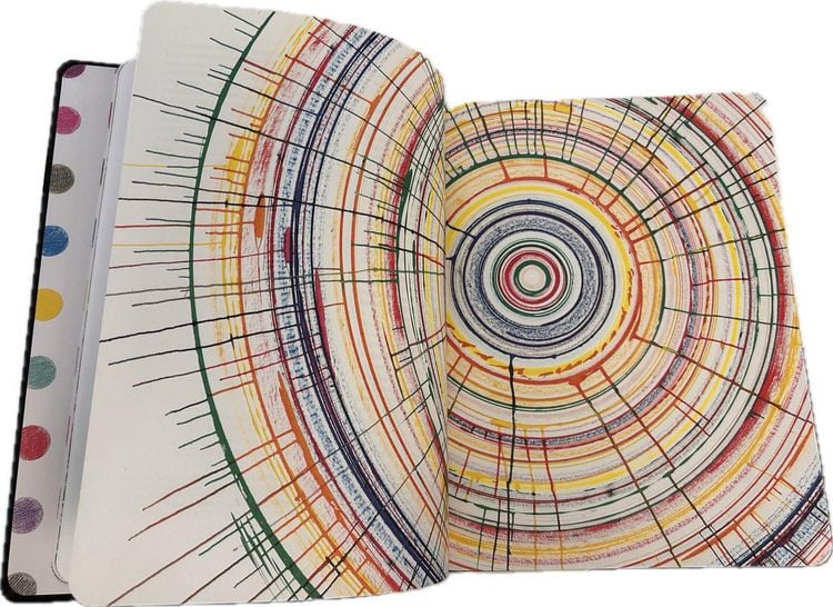 Produktbild: Damien Hirst - Drawings