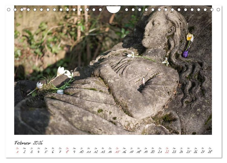 Produktbild: Alter Friedhof Freiburg (Wandkalender 2026 DIN A4 quer), CALVENDO Monatskalender