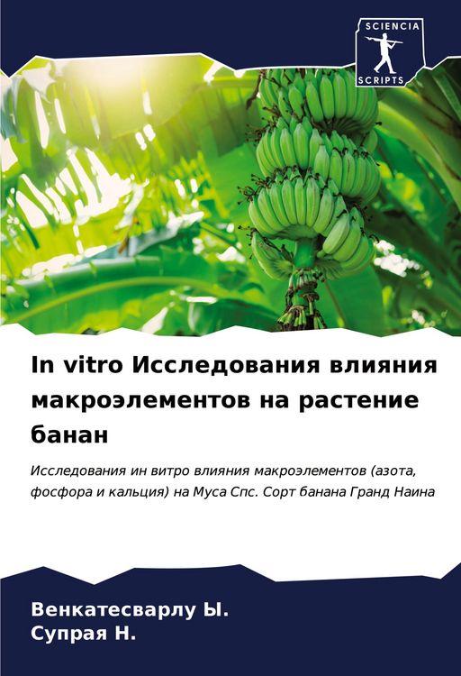 Produktbild: In vitro Issledowaniq wliqniq makro&auml;lementow na rastenie banan