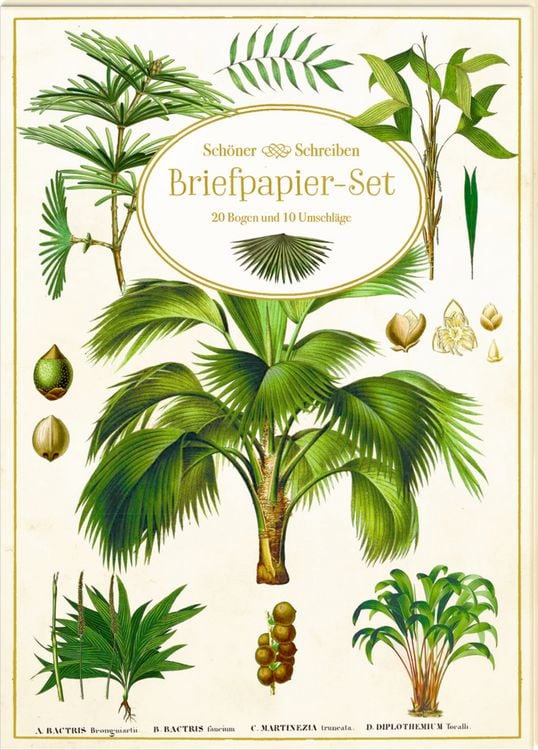 Produktbild: Briefpapier-Set