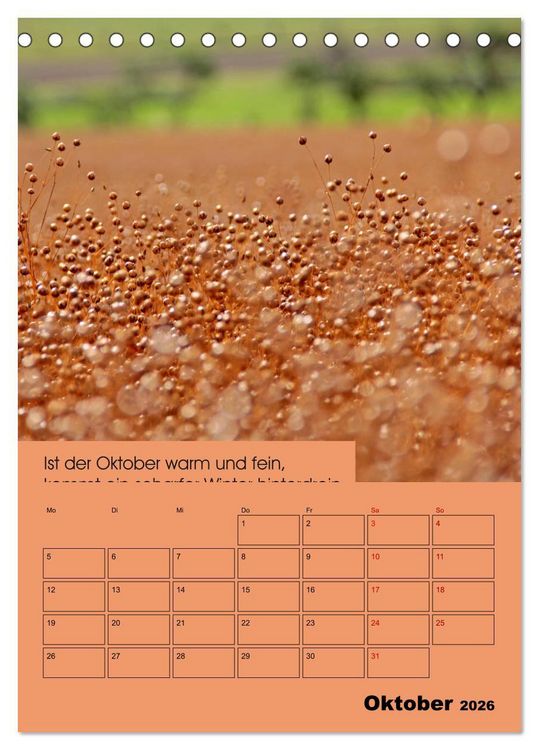 Produktbild: Wetter-Regeln der Bauern (Tischkalender 2026 DIN A5 hoch), CALVENDO Monatskalender