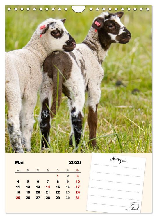 Produktbild: L&auml;mmergl&uuml;ck (Wandkalender 2026 DIN A4 hoch), CALVENDO Monatskalender