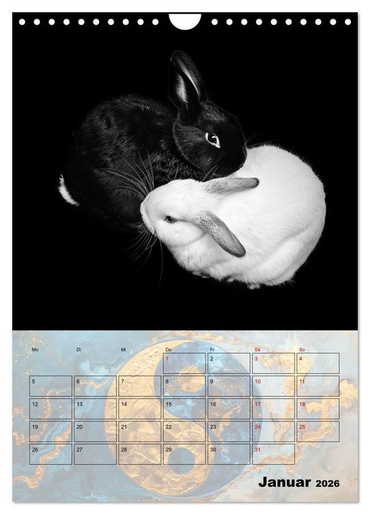 Produktbild: Sei das Yin zu meinem Yang (Wandkalender 2026 DIN A4 hoch), CALVENDO Monatskalender