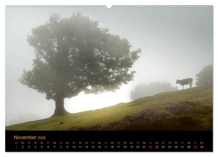 Produktbild: Madeira Impressionen (Wandkalender 2026 DIN A2 quer), CALVENDO Monatskalender