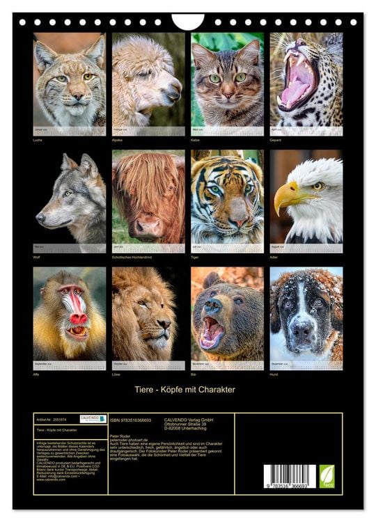 Produktbild: Tiere - K&ouml;pfe mit Charakter (Wandkalender 2026 DIN A4 hoch), CALVENDO Monatskalender