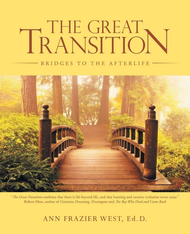 Produktbild: The Great Transition