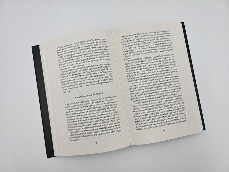 Produktbild: Alles ist Klang