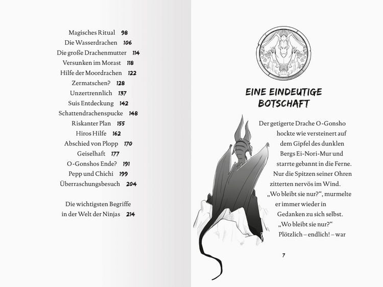 Produktbild: Dragon Ninjas, Band 6 - Der Drache des Wassers