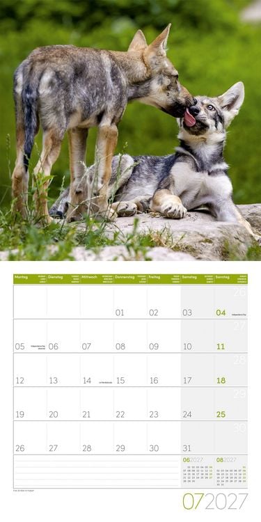 Produktbild: W&ouml;lfe Kalender 2027 - 30x30 - Art12