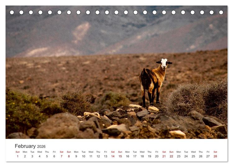 Produktbild: Fuerteventrua The volcanic island (Desk Calendar 2026 DIN A5 landscape), CALVENDO 12 Month DeskCalendar