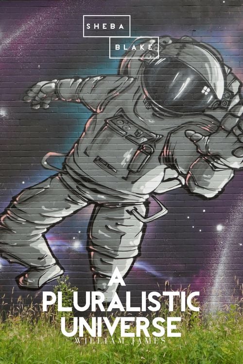 Produktbild: A Pluralistic Universe