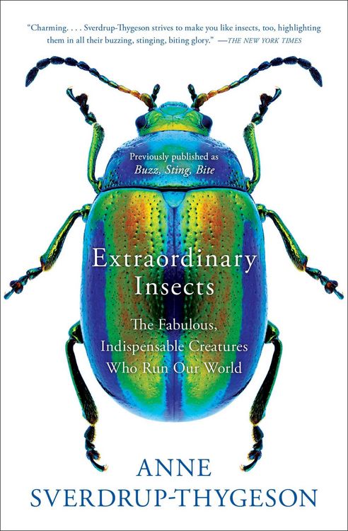 Produktbild: Extraordinary Insects