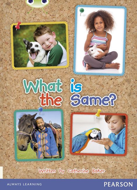 Produktbild: Bug Club Guided Non Fiction Reception Non Fiction Red B What is the Same?
