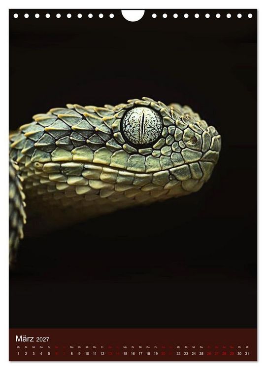 Produktbild: The Power Of Snake (Wandkalender 2027 DIN A4 hoch), CALVENDO Monatskalender