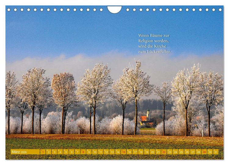 Produktbild: Rollentausch &ndash; Bebilderte Wortspielereien (Wandkalender 2026 DIN A4 quer), CALVENDO Monatskalender