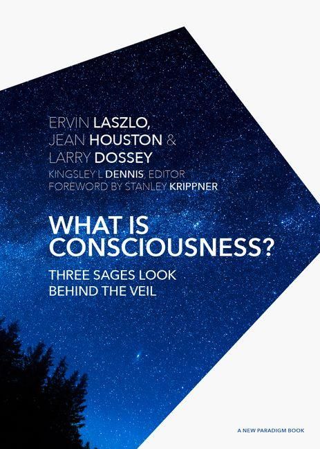 Produktbild: What Is Consciousness?
