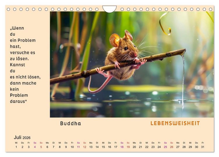 Produktbild: Pfiffig und weise (Wandkalender 2026 DIN A4 quer), CALVENDO Monatskalender