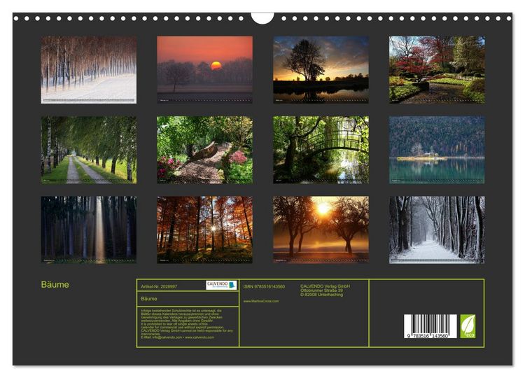Produktbild: B&auml;ume (Wandkalender 2026 DIN A3 quer), CALVENDO Monatskalender