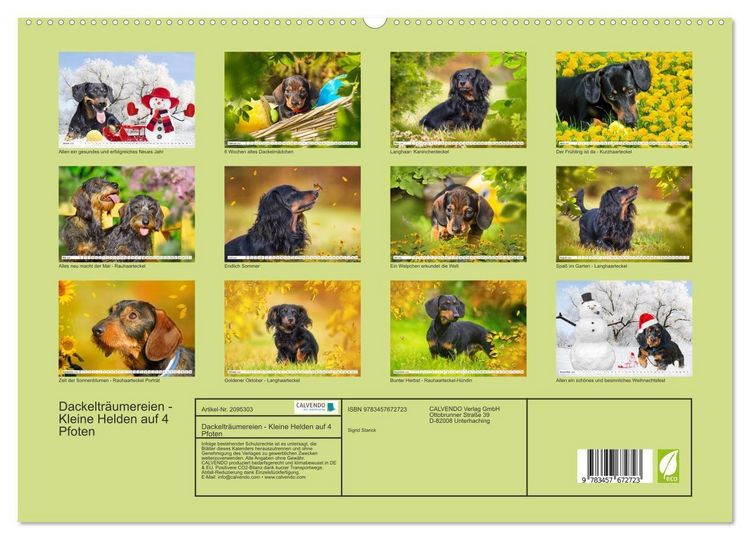 Produktbild: Dackeltr&auml;umereien - Kleine Helden auf 4 Pfoten (hochwertiger Premium Wandkalender 2026 DIN A2 quer), Kunstdruck in Hochglanz