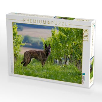 Produktbild: CALVENDO Puzzle Ein Motiv aus dem Kalender Holl&auml;ndischer Sch&auml;ferhund | 1000 Teile Lege-Gr&ouml;&szlig;e 64x48cm Foto-Puzzle f&uuml;r gl&uuml;ckliche Stunden