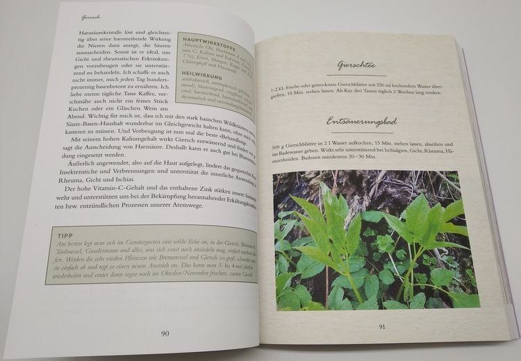 Produktbild: Meine Wildkr&auml;uter