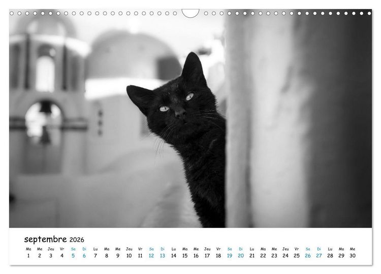 Produktbild: Chats de Santorin - Les princes d'Oia en noir et blanc (Calendrier mural 2026 DIN A3 vertical), CALVENDO calendrier mensuel