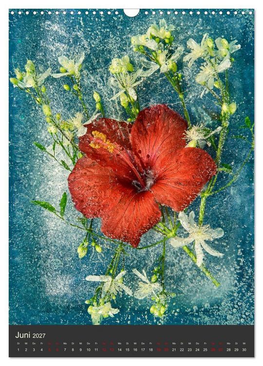 Produktbild: Magische Eisblumen (Wandkalender 2027 DIN A3 hoch), CALVENDO Monatskalender
