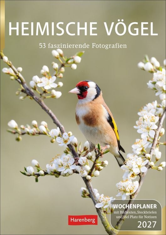 Produktbild: Heimische V&ouml;gel Wochenplaner 2027 - 53 faszinierende Fotografien