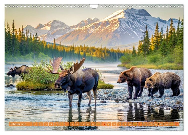 Produktbild: Elche und B&auml;ren in Alaska (Wandkalender 2027 DIN A3 quer), CALVENDO Monatskalender