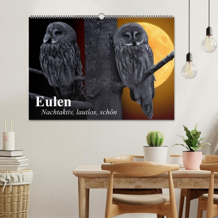 Produktbild: Eulen. Nachtaktiv, lautlos, sch&ouml;n (Wandkalender 2026 DIN A2 quer), CALVENDO Monatskalender