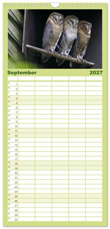 Produktbild: Familienplaner 2027 - Eulen mit 5 Spalten (Wandkalender, 21 x 45 cm) CALVENDO