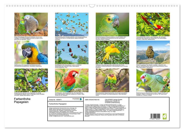 Produktbild: Farbenfrohe Papageien (Wandkalender 2026 DIN A2 quer), CALVENDO Monatskalender