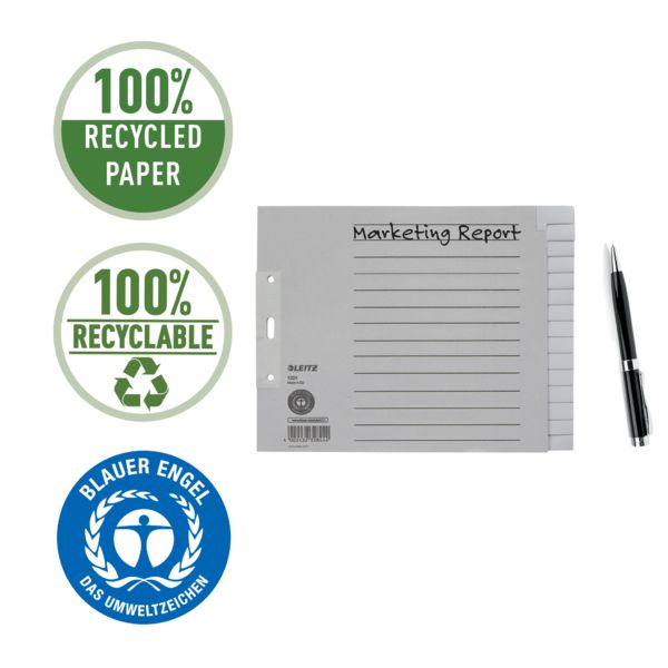 Produktbild: Leitz Register Blanko, Papier
