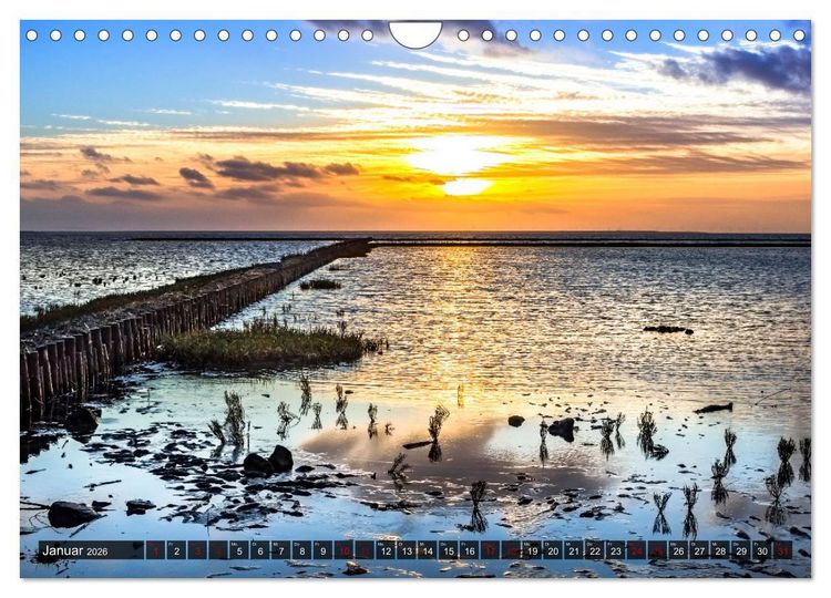 Produktbild: Naturlandschaft WATTENMEER (Wandkalender 2026 DIN A4 quer), CALVENDO Monatskalender