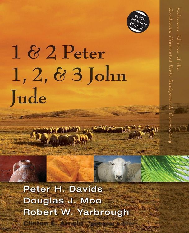 Produktbild: The 1 and 2 Peter, Jude, 1, 2, and 3 John