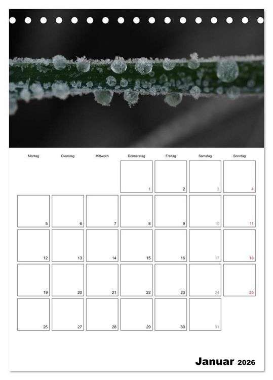 Produktbild: schwarz/wei&szlig; trifft farbe - DEIN TERMINKALENDER / Planer (Tischkalender 2026 DIN A5 hoch), CALVENDO Monatskalender