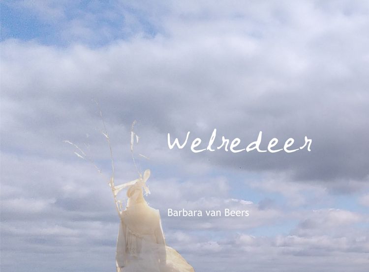 Produktbild: Welredeer
