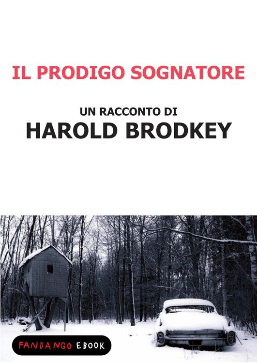 Produktbild: Il prodigo sognatore