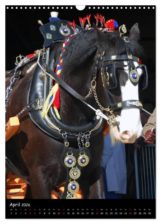 Produktbild: Shire Horse - Geschm&uuml;ckte Riesen (Wandkalender 2026 DIN A3 hoch), CALVENDO Monatskalender