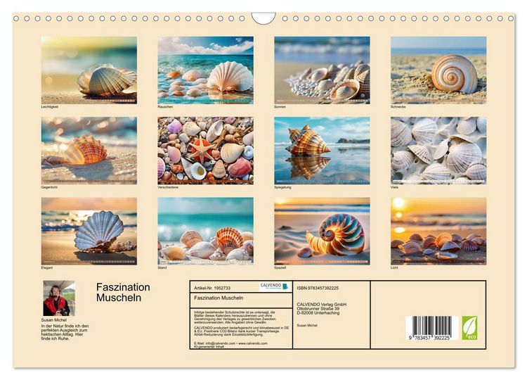 Produktbild: Faszination Muscheln (Wandkalender 2026 DIN A3 quer), CALVENDO Monatskalender