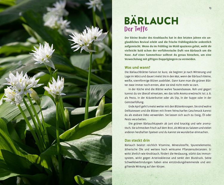 Produktbild: Wild und wunderbar: die 13 besten Wildkr&auml;uter