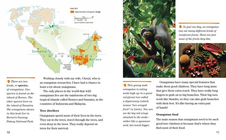 Produktbild: Face to Face with Orangutans